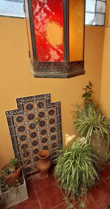 ¨Las Mayolicas¨ Hermoso Depto Con Patio Espanol Μεντόζα Εξωτερικό φωτογραφία