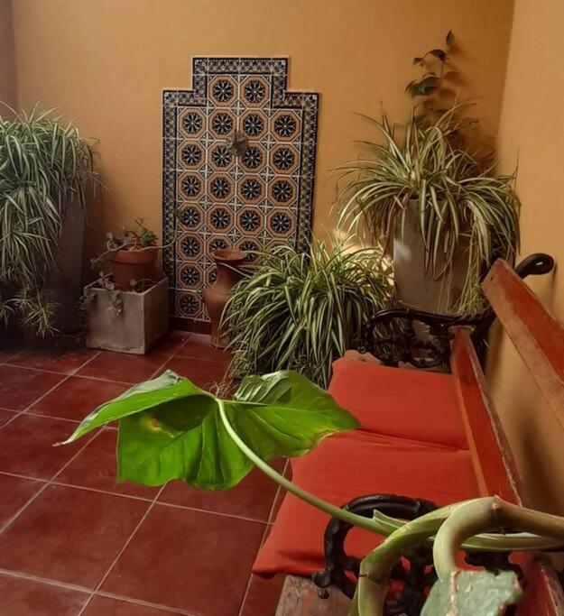 ¨Las Mayolicas¨ Hermoso Depto Con Patio Espanol Μεντόζα Εξωτερικό φωτογραφία